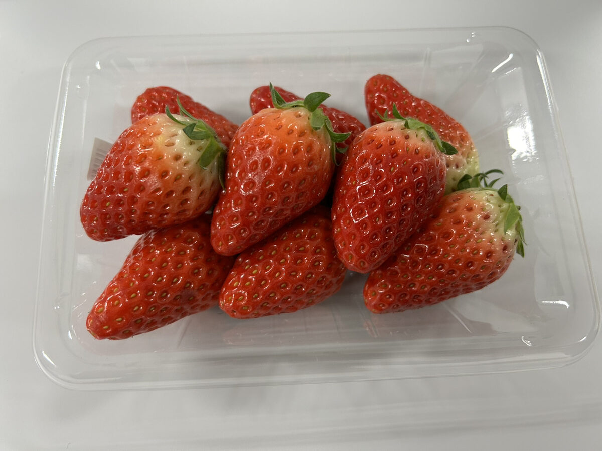 食品開発】急速冷凍実験レポート｜いちご編 - 株式会社スパック